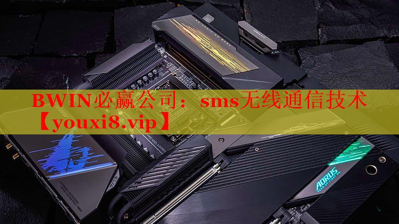 BWIN必赢公司：sms无线通信技术
