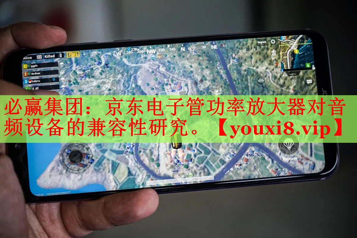 必赢集团：京东电子管功率放大器对音频设备的兼容性研究。