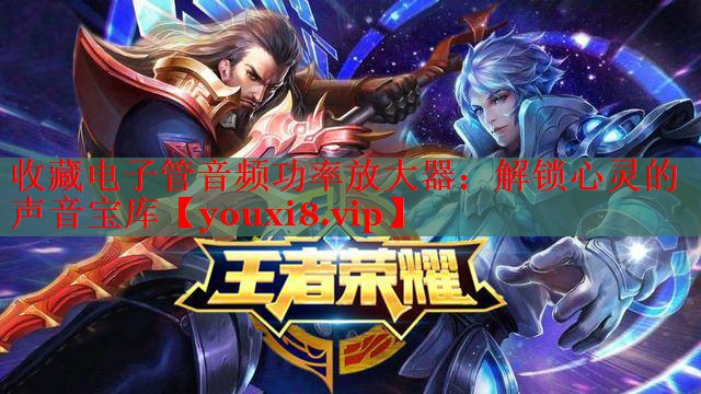 收藏电子管音频功率放大器：解锁心灵的声音宝库