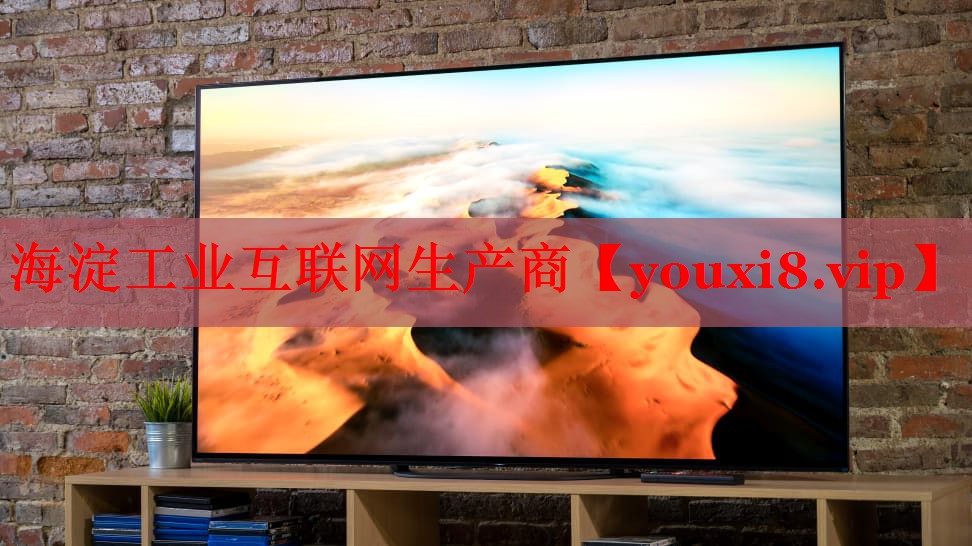 海淀工业互联网生产商