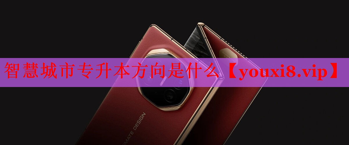 智慧城市专升本方向是什么