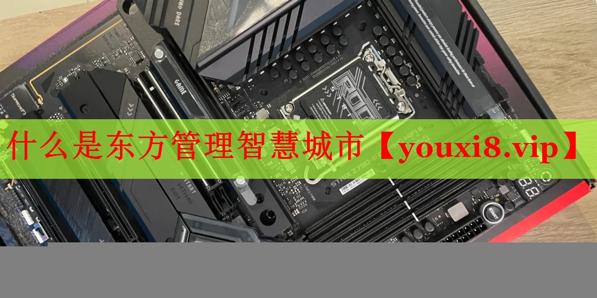 什么是东方管理智慧城市