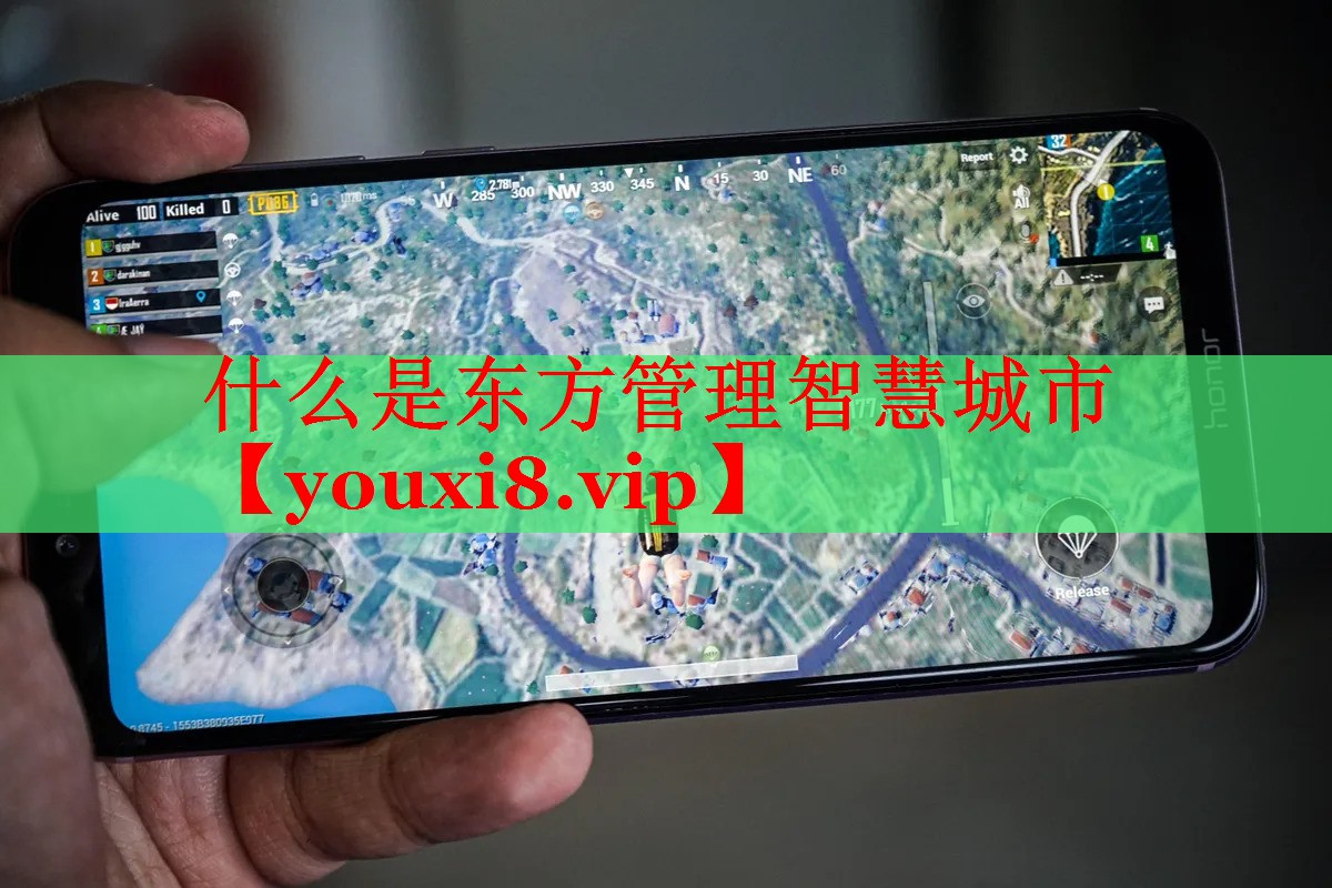 什么是东方管理智慧城市