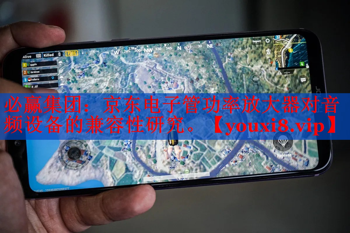 京东电子管功率放大器对音频设备的兼容性研究。