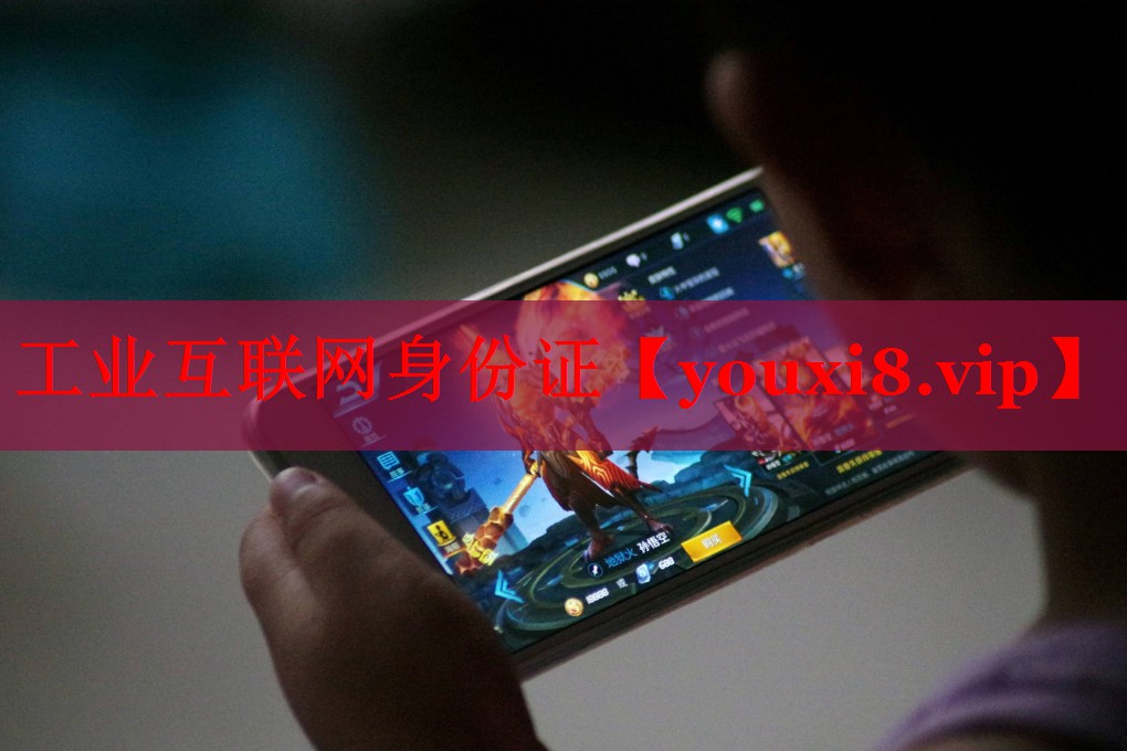 工业互联网身份证