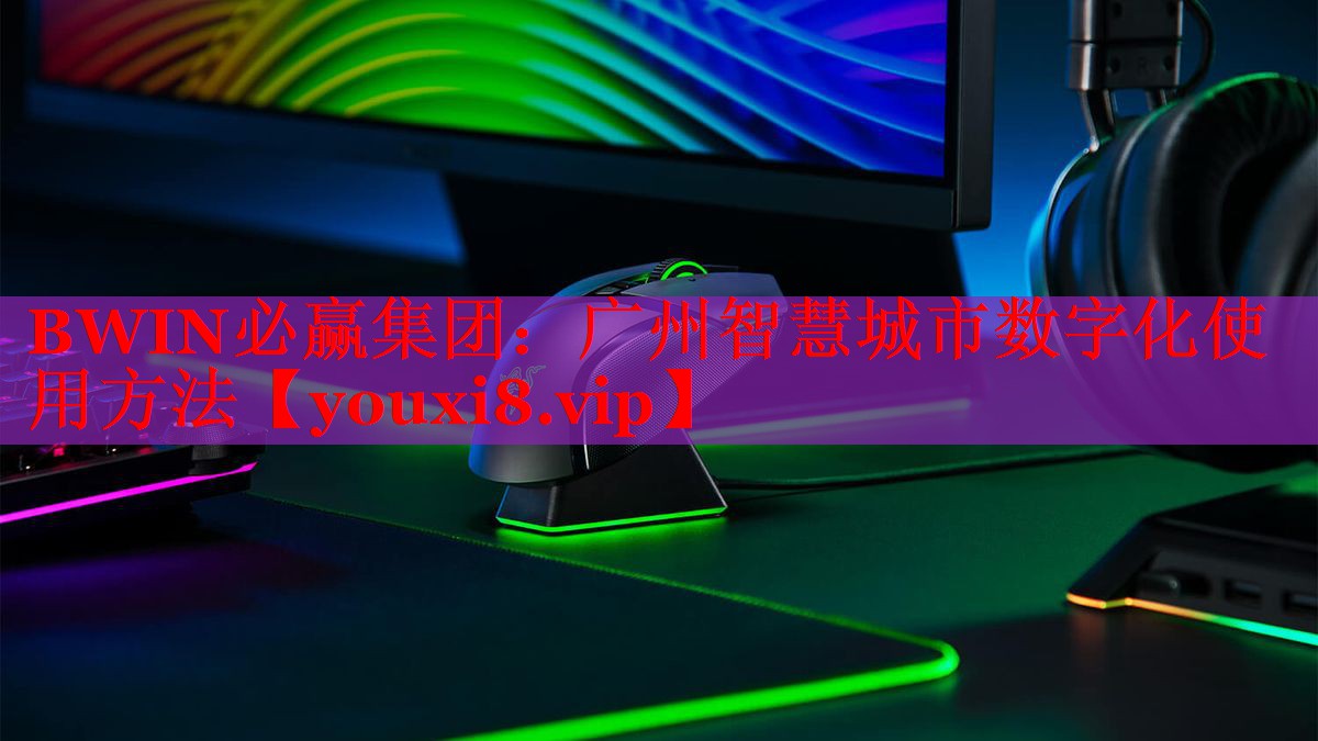 广州智慧城市数字化使用方法