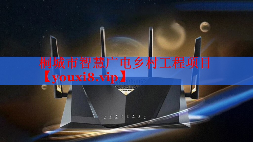 桐城市智慧广电乡村工程项目