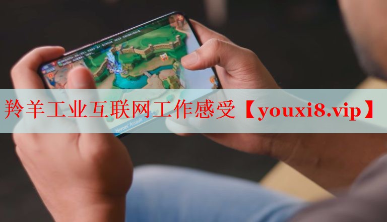 羚羊工业互联网工作感受 羚羊工业互联网工作感受